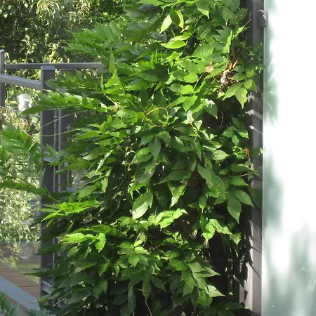 Apartamento 2type4 - *