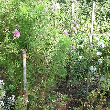 Apartamento 2type4 -