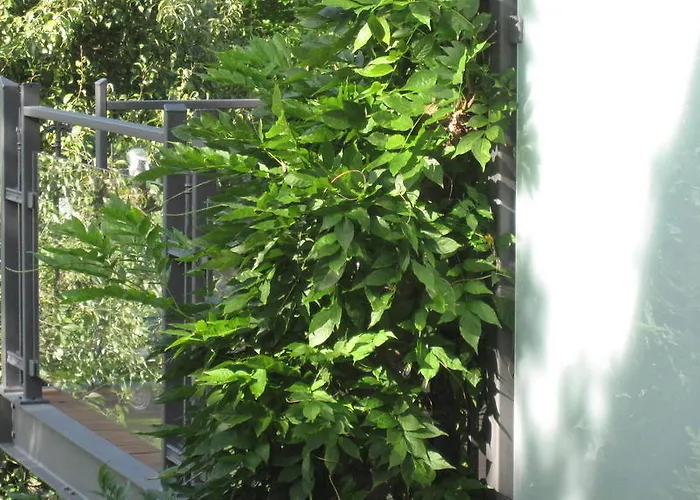 Lägenhet 2type4 - *