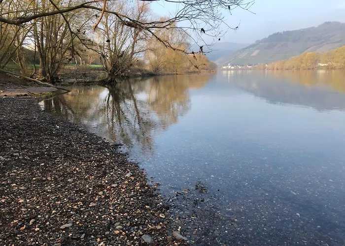 2type4 - Lejlighed Brauneberg